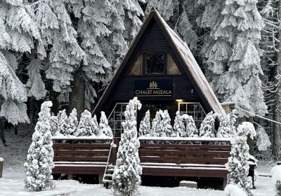 Chalet Musala Borovets