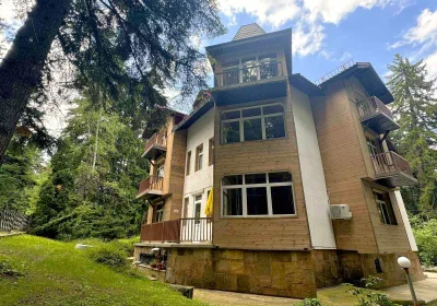 The Forest Villa