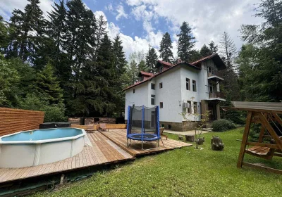 The Forest Villa