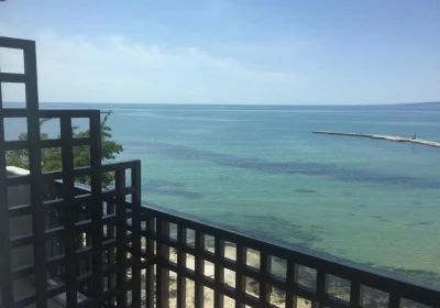 Oasis Balchik