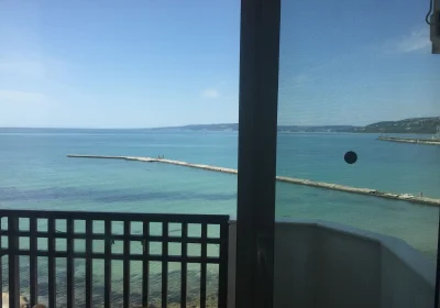Oasis Balchik