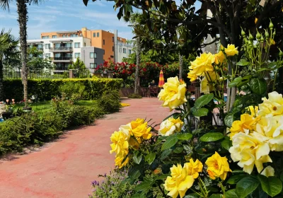 Chateau Del Marina apart complex
