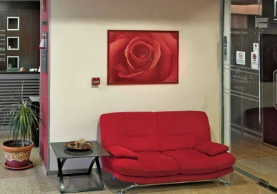 Real Hotel
