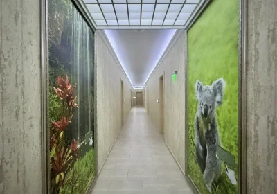 Bratanov Harmony 3 Suites Jungle