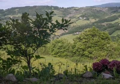 Il Casale-toscoemiliano