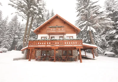 Forest Lodge Chalet