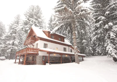 Forest Lodge Chalet
