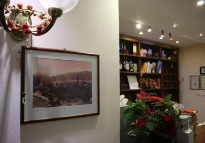 Hotel Kralev Dvor