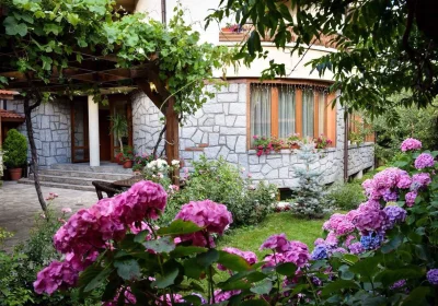Hotel Lina