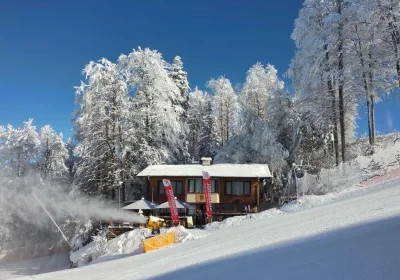 Finish Line Guest House