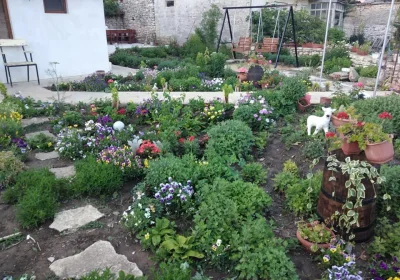 Guest House Maria - Kavarna