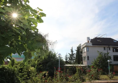 Villa Elmar