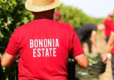 Bononia Estate