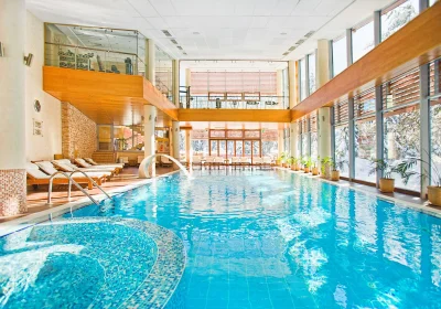 An unforgettable Christmas at Yastrebets Wellnes & SPA