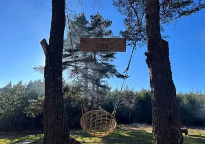 Forest View Hotel