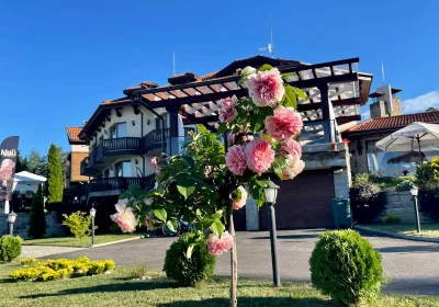 Family Hotel Eterno