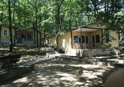 SBH Shkorpilovtsi