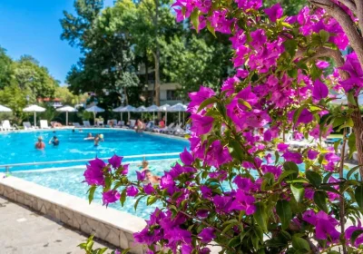 Hotel Riva