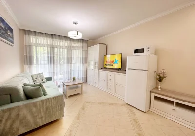 One bedroom apartment in 407 villa