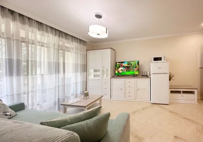 One bedroom apartment in 407 villa