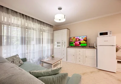 One bedroom apartment in 407 villa