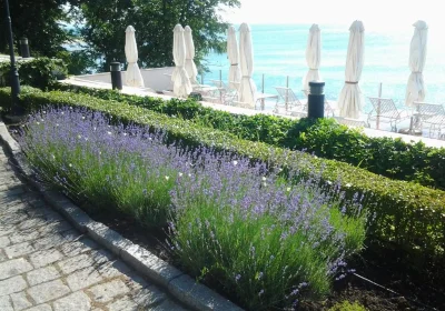 Oasis Boutique Hotel