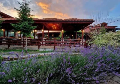 Wild Duck Hotel