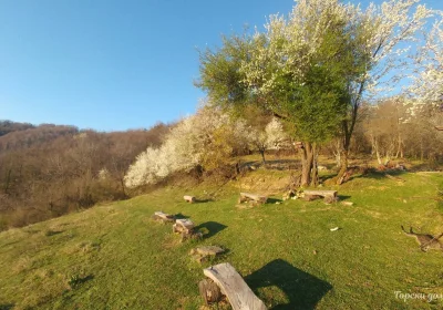 Горски дом и Старата къща Трявна