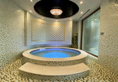 Bratanov Harmony Monte Carlo