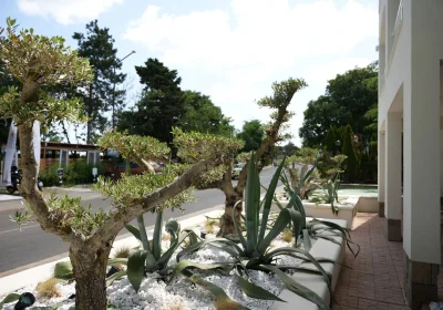 PARADISE BAY Hotel 