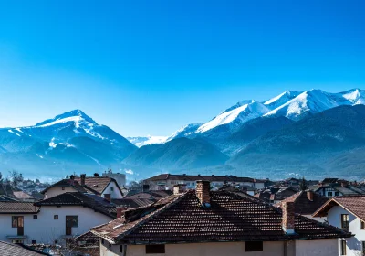 Chalet Bizet