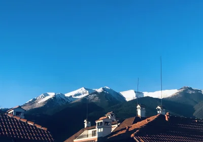 Anex Guest House