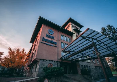 SPA Hotel Dvoretsa