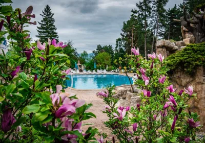 SPA Hotel Dvoretsa