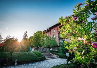 SPA Hotel Dvoretsa