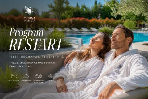 Program RESTART 